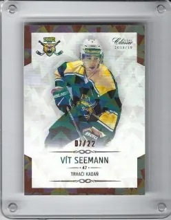 Seemann Vít OFS Chance Liga 2018-19 Rainbow xx/22 č.287